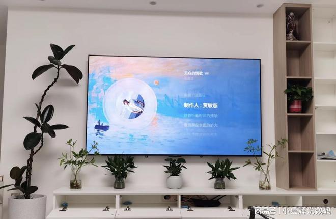 ro 24款2024年质价比之选测评分享EVO视讯雷鸟电视深度解析：雷鸟鹤6 P(图2)