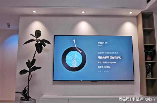 ro 24款2024年质价比之选测评分享EVO视讯雷鸟电视深度解析：雷鸟鹤6 P(图6)