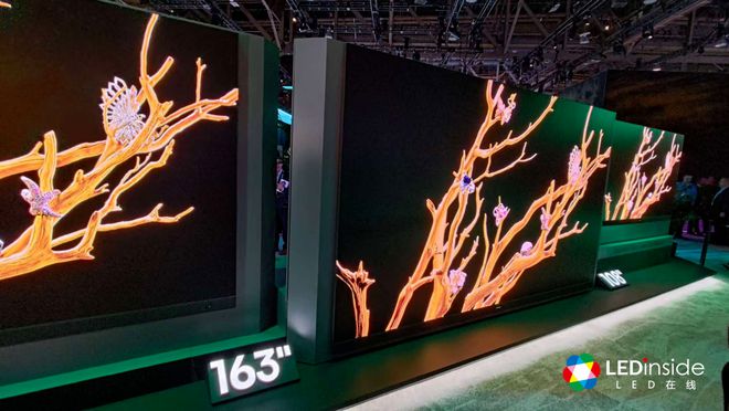 IN to the Future 红杉爱科学EVO视讯真人CES 2025回顾：DIVE(图17)